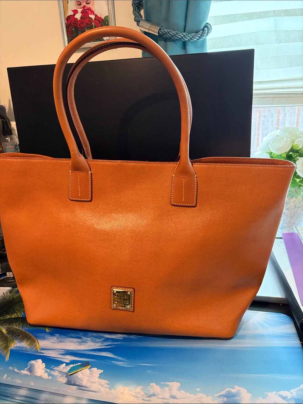 Dooney & Bourke Classic Natural Leather Tote Bag - Structured Everyday Carry